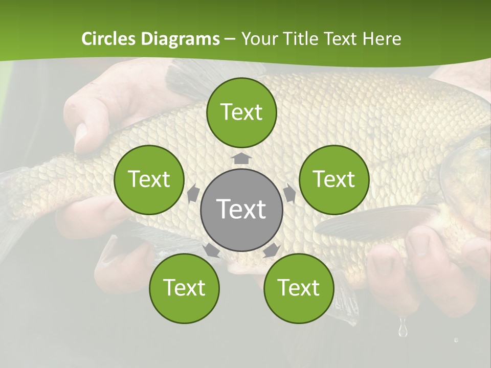 A Person Holding A Fish In Their Hands PowerPoint Template