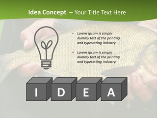 A Person Holding A Fish In Their Hands PowerPoint Template