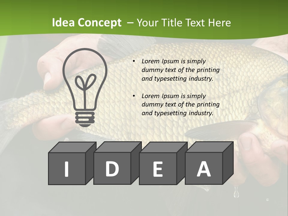 A Person Holding A Fish In Their Hands PowerPoint Template