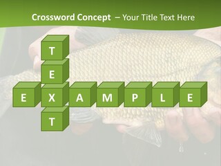 A Person Holding A Fish In Their Hands PowerPoint Template