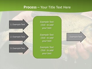 A Person Holding A Fish In Their Hands PowerPoint Template