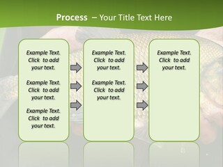 A Person Holding A Fish In Their Hands PowerPoint Template