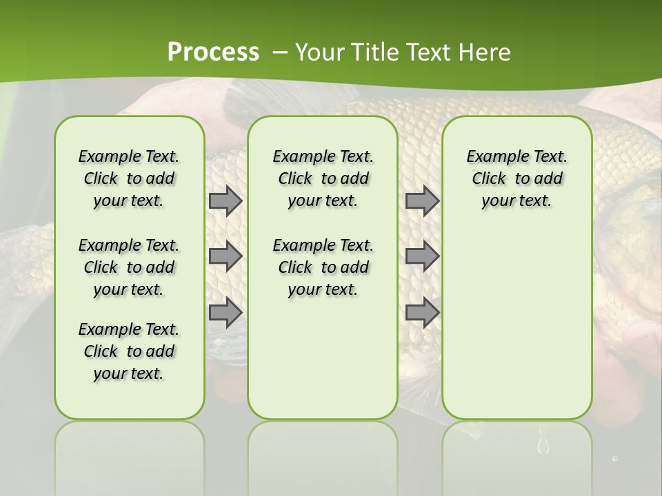 A Person Holding A Fish In Their Hands PowerPoint Template