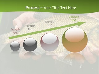 A Person Holding A Fish In Their Hands PowerPoint Template