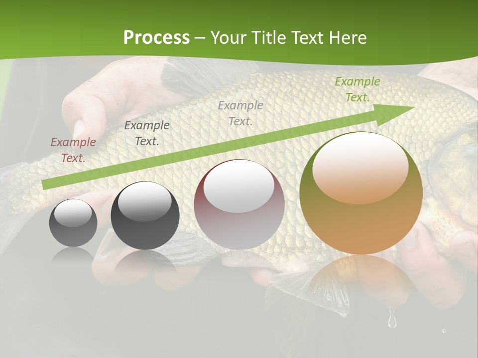 A Person Holding A Fish In Their Hands PowerPoint Template