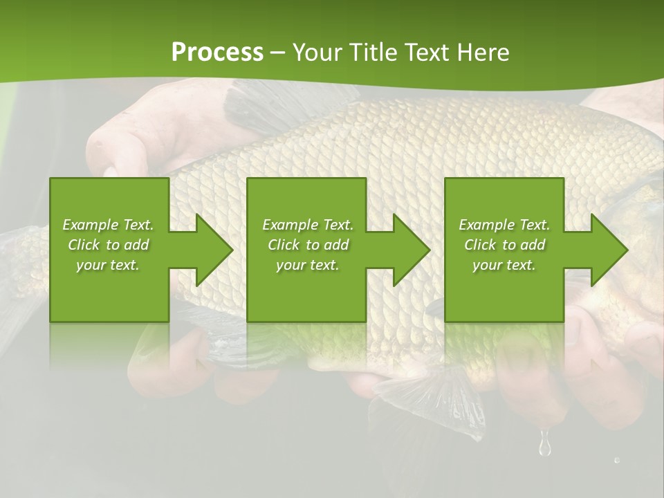 A Person Holding A Fish In Their Hands PowerPoint Template