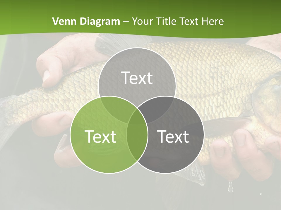 A Person Holding A Fish In Their Hands PowerPoint Template