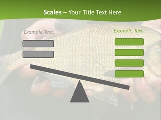 A Person Holding A Fish In Their Hands PowerPoint Template