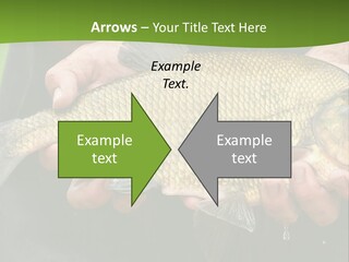 A Person Holding A Fish In Their Hands PowerPoint Template