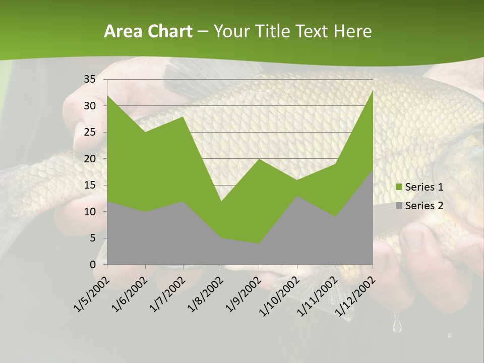 A Person Holding A Fish In Their Hands PowerPoint Template
