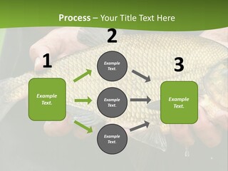 A Person Holding A Fish In Their Hands PowerPoint Template