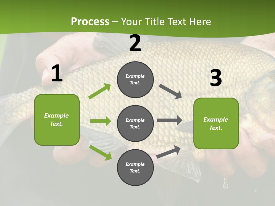 A Person Holding A Fish In Their Hands PowerPoint Template