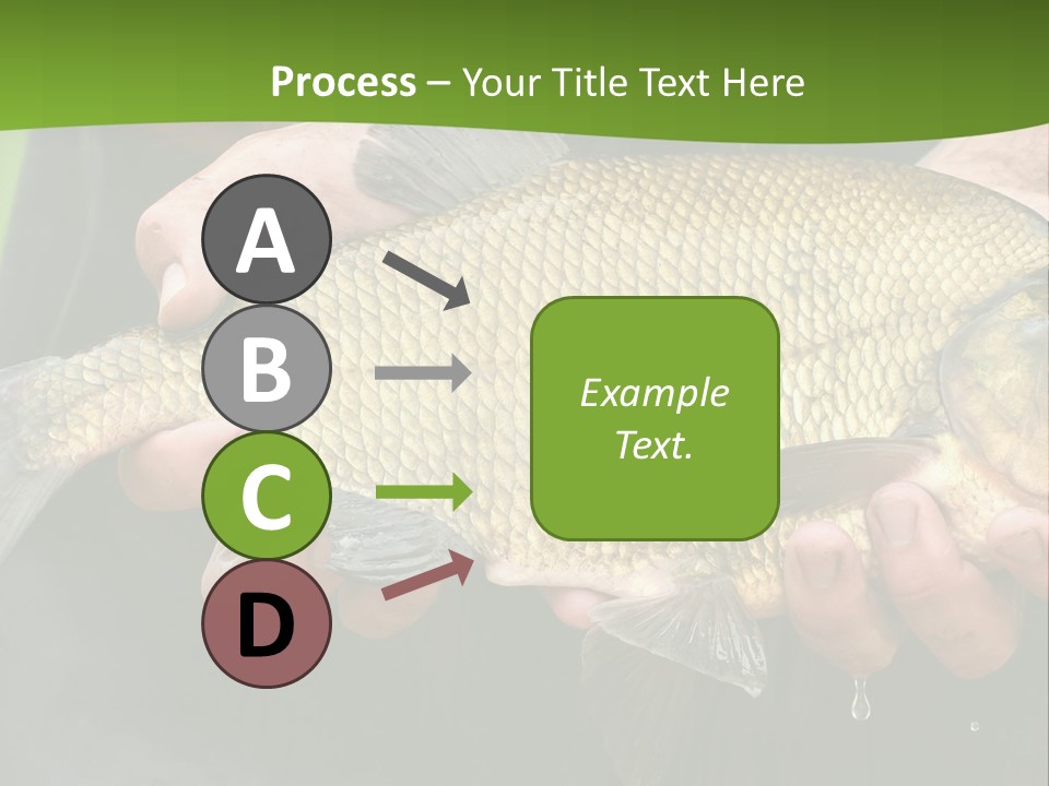 A Person Holding A Fish In Their Hands PowerPoint Template