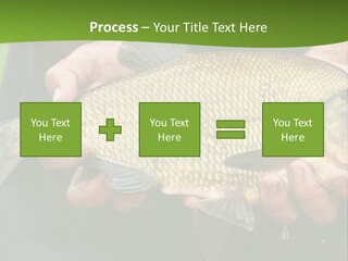 A Person Holding A Fish In Their Hands PowerPoint Template