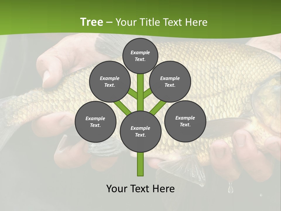 A Person Holding A Fish In Their Hands PowerPoint Template