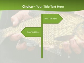 A Person Holding A Fish In Their Hands PowerPoint Template