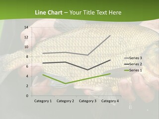 A Person Holding A Fish In Their Hands PowerPoint Template