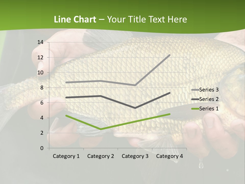 A Person Holding A Fish In Their Hands PowerPoint Template