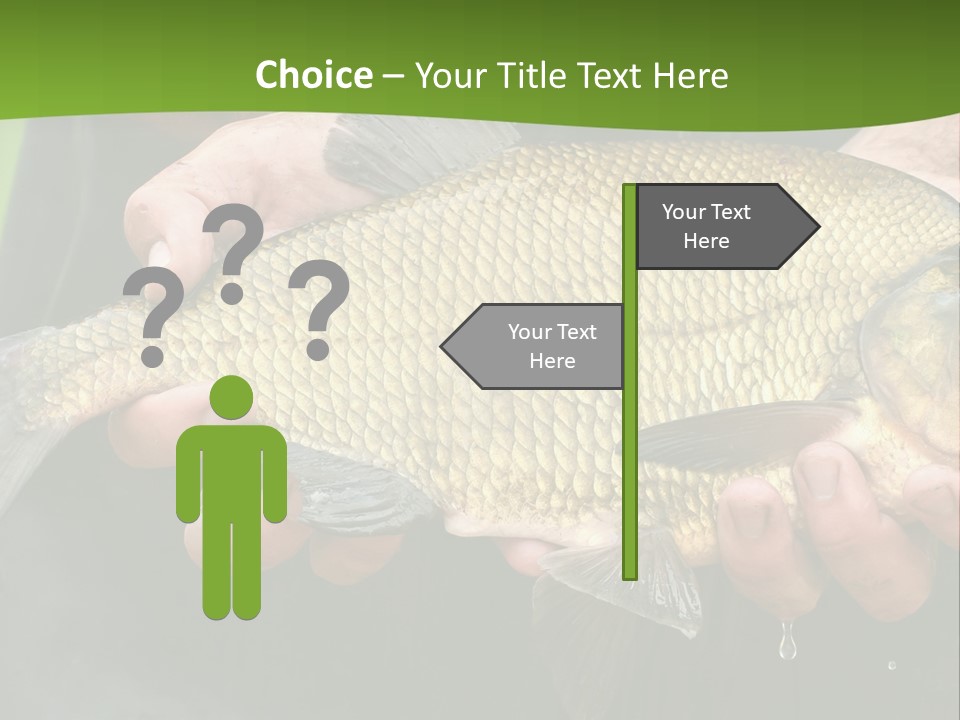 A Person Holding A Fish In Their Hands PowerPoint Template