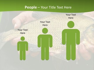 A Person Holding A Fish In Their Hands PowerPoint Template