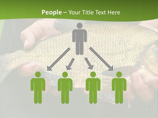 A Person Holding A Fish In Their Hands PowerPoint Template