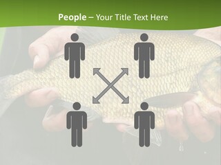 A Person Holding A Fish In Their Hands PowerPoint Template