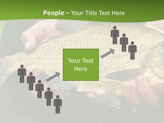 A Person Holding A Fish In Their Hands PowerPoint Template