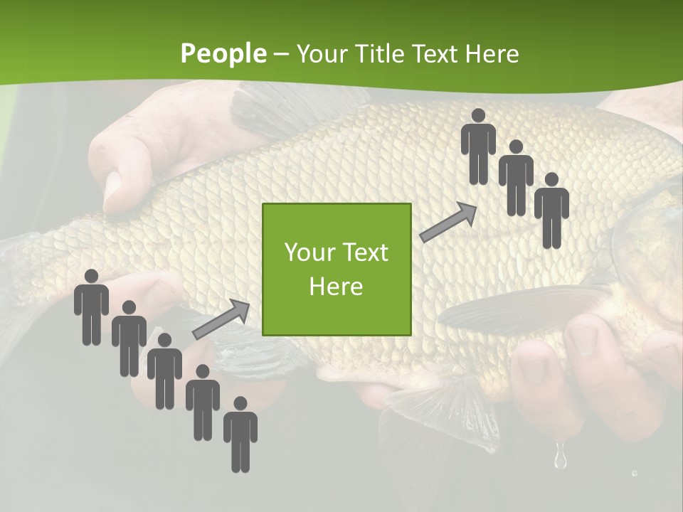 A Person Holding A Fish In Their Hands PowerPoint Template