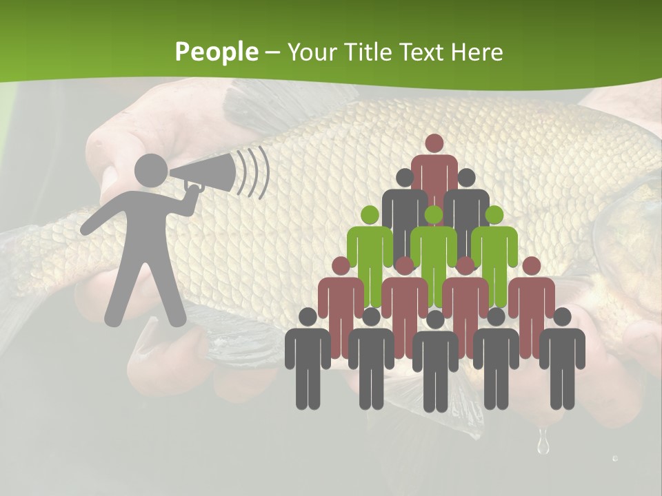 A Person Holding A Fish In Their Hands PowerPoint Template