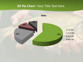 A Person Holding A Fish In Their Hands PowerPoint Template