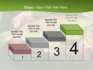 A Person Holding A Fish In Their Hands PowerPoint Template