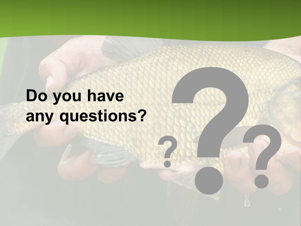 A Person Holding A Fish In Their Hands PowerPoint Template