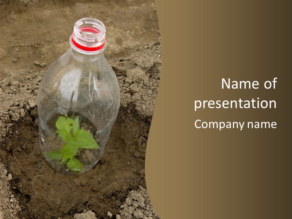 A Bottle With A Plant In It Sitting In The Dirt PowerPoint Template