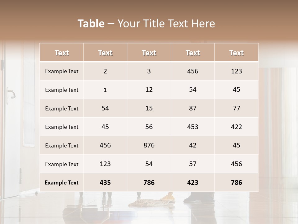 A Woman Cleaning The Floor With A Mop PowerPoint Template