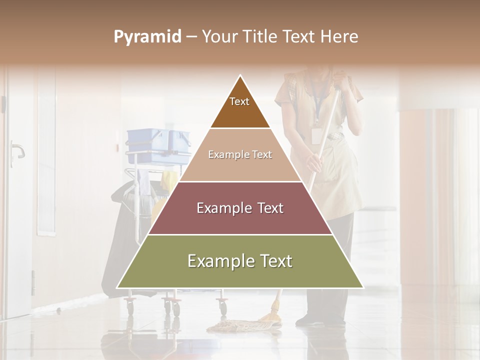 A Woman Cleaning The Floor With A Mop PowerPoint Template