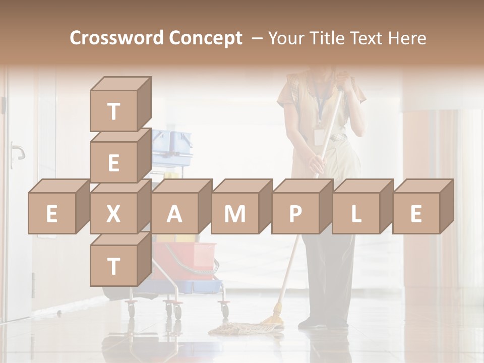 A Woman Cleaning The Floor With A Mop PowerPoint Template