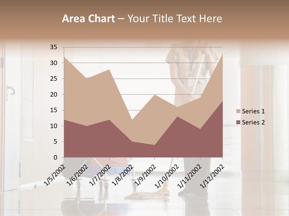 A Woman Cleaning The Floor With A Mop PowerPoint Template