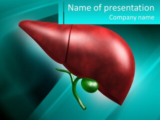 A Picture Of A Liver With A Green Ball In It PowerPoint Template