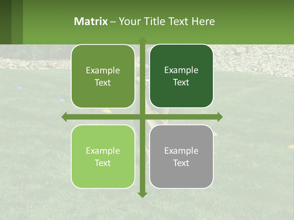 A Young Boy Standing On Top Of A Lush Green Field PowerPoint Template