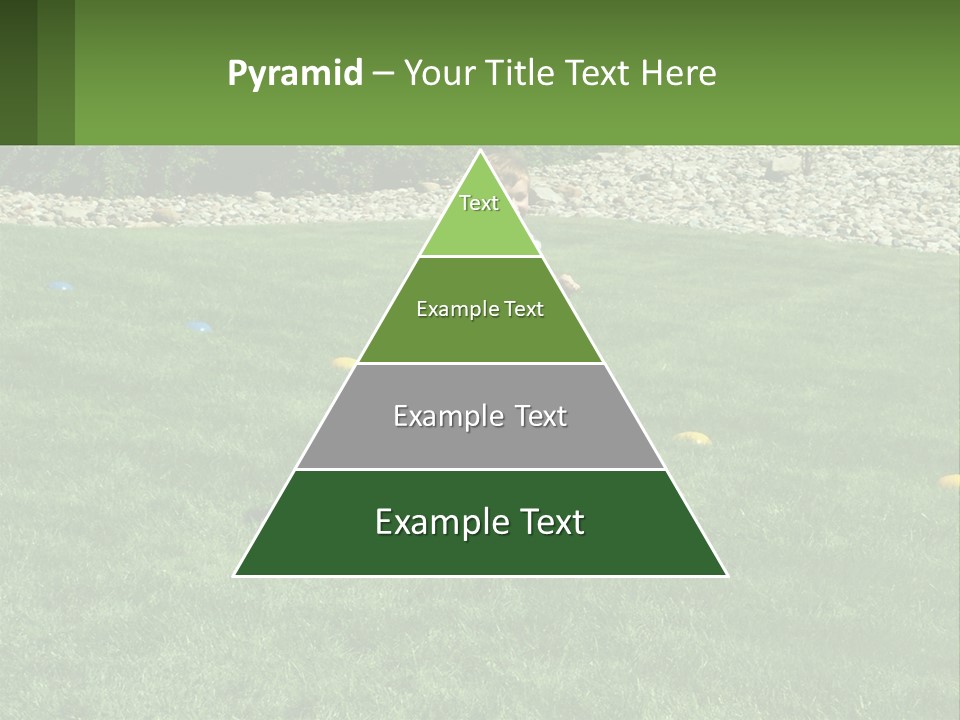 A Young Boy Standing On Top Of A Lush Green Field PowerPoint Template