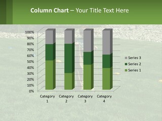 A Young Boy Standing On Top Of A Lush Green Field PowerPoint Template