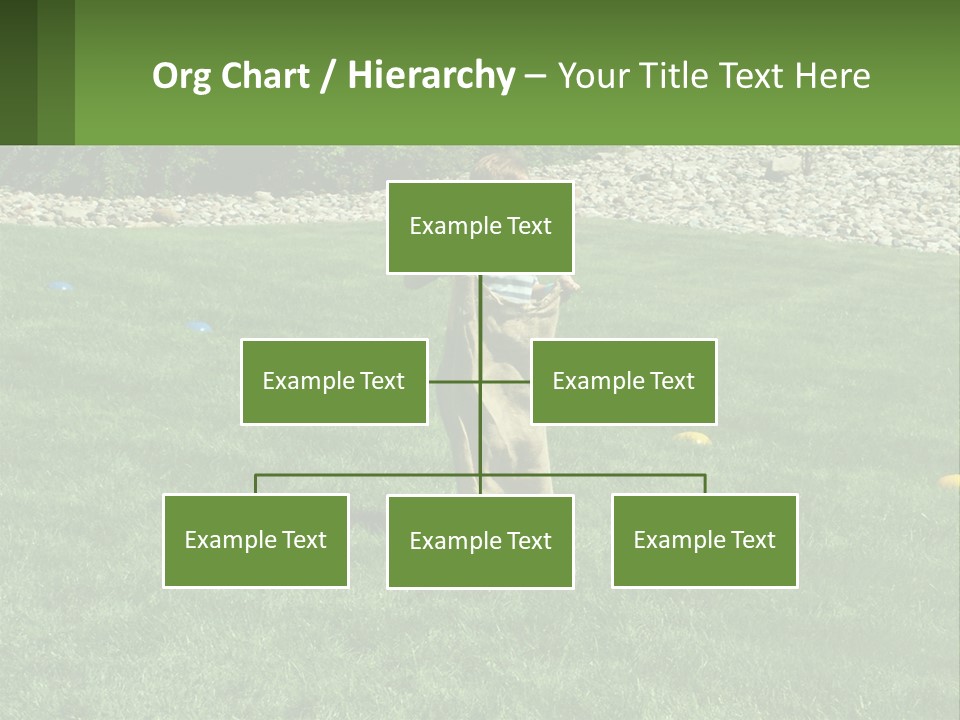 A Young Boy Standing On Top Of A Lush Green Field PowerPoint Template