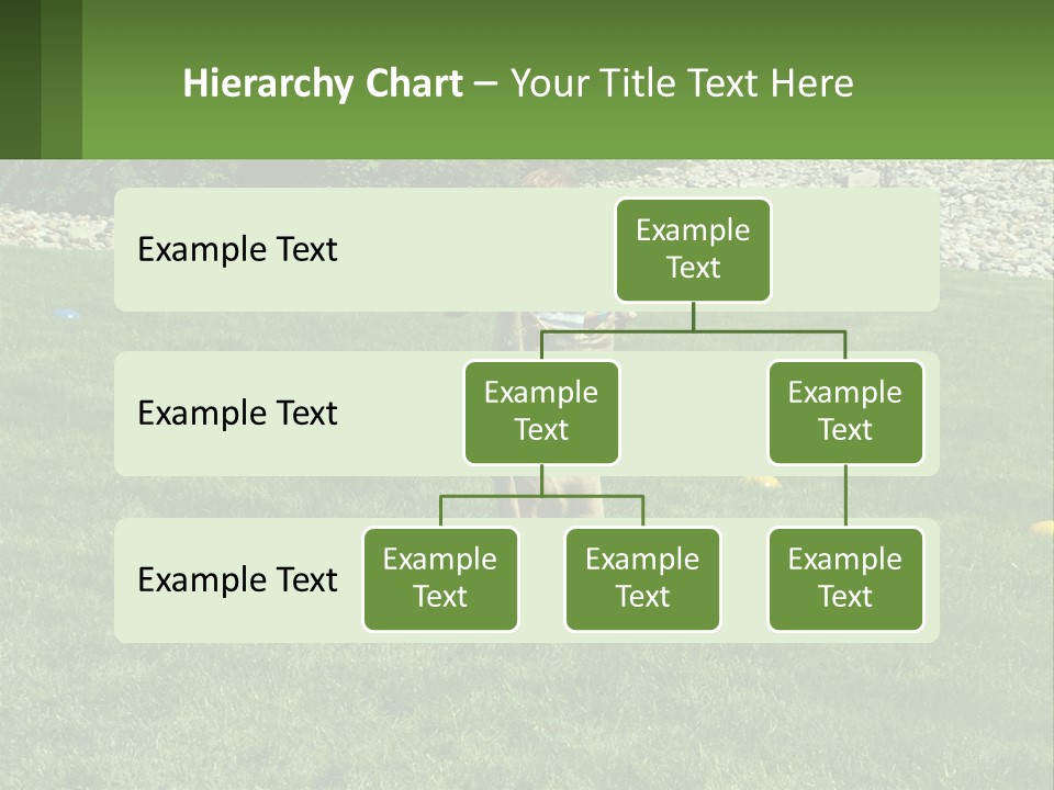 A Young Boy Standing On Top Of A Lush Green Field PowerPoint Template