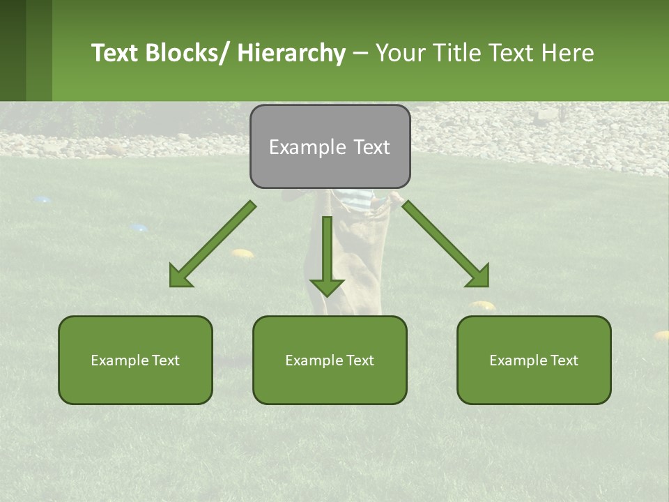 A Young Boy Standing On Top Of A Lush Green Field PowerPoint Template