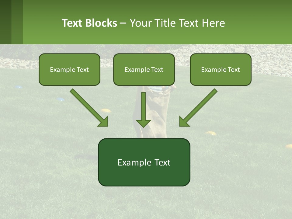A Young Boy Standing On Top Of A Lush Green Field PowerPoint Template
