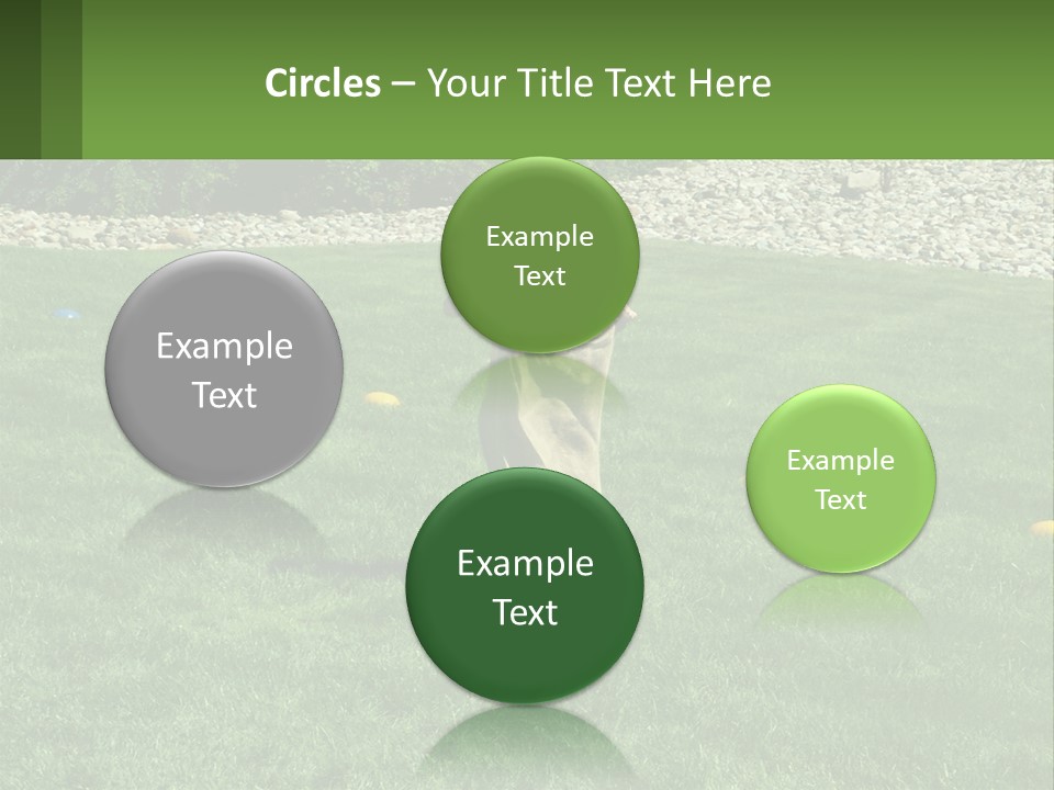 A Young Boy Standing On Top Of A Lush Green Field PowerPoint Template