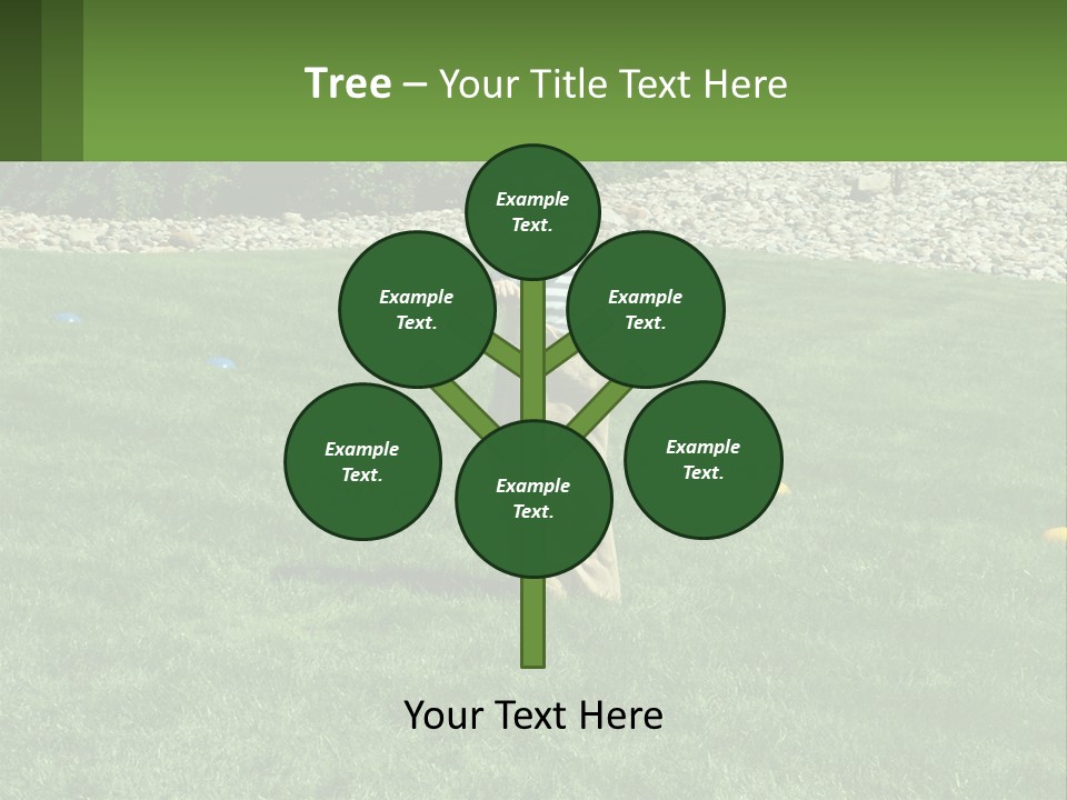 A Young Boy Standing On Top Of A Lush Green Field PowerPoint Template