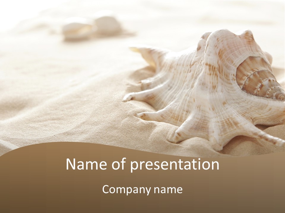 A Sea Shell On A Sandy Beach Powerpoint Template PowerPoint Template