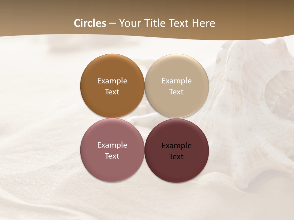 A Sea Shell On A Sandy Beach Powerpoint Template PowerPoint Template