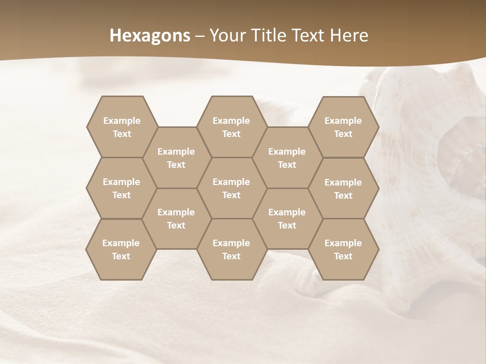 A Sea Shell On A Sandy Beach Powerpoint Template PowerPoint Template